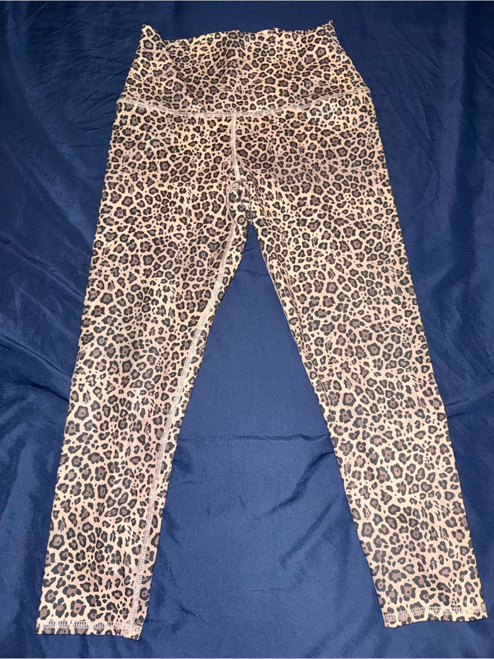 Evolution and Creation Leopard-Print High-Waist Leggings - Tan & Black